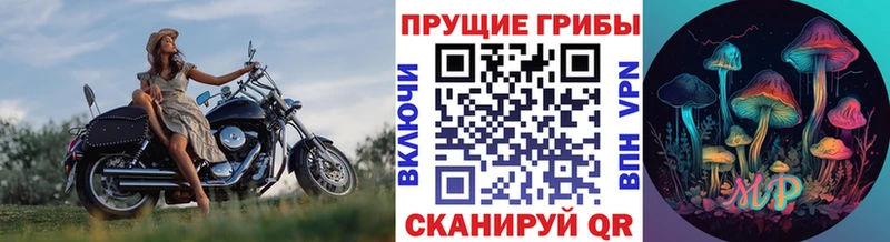 Псилоцибиновые грибы MAGIC MUSHROOMS  Верея 
